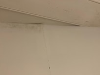 Mouldy bathroom wall