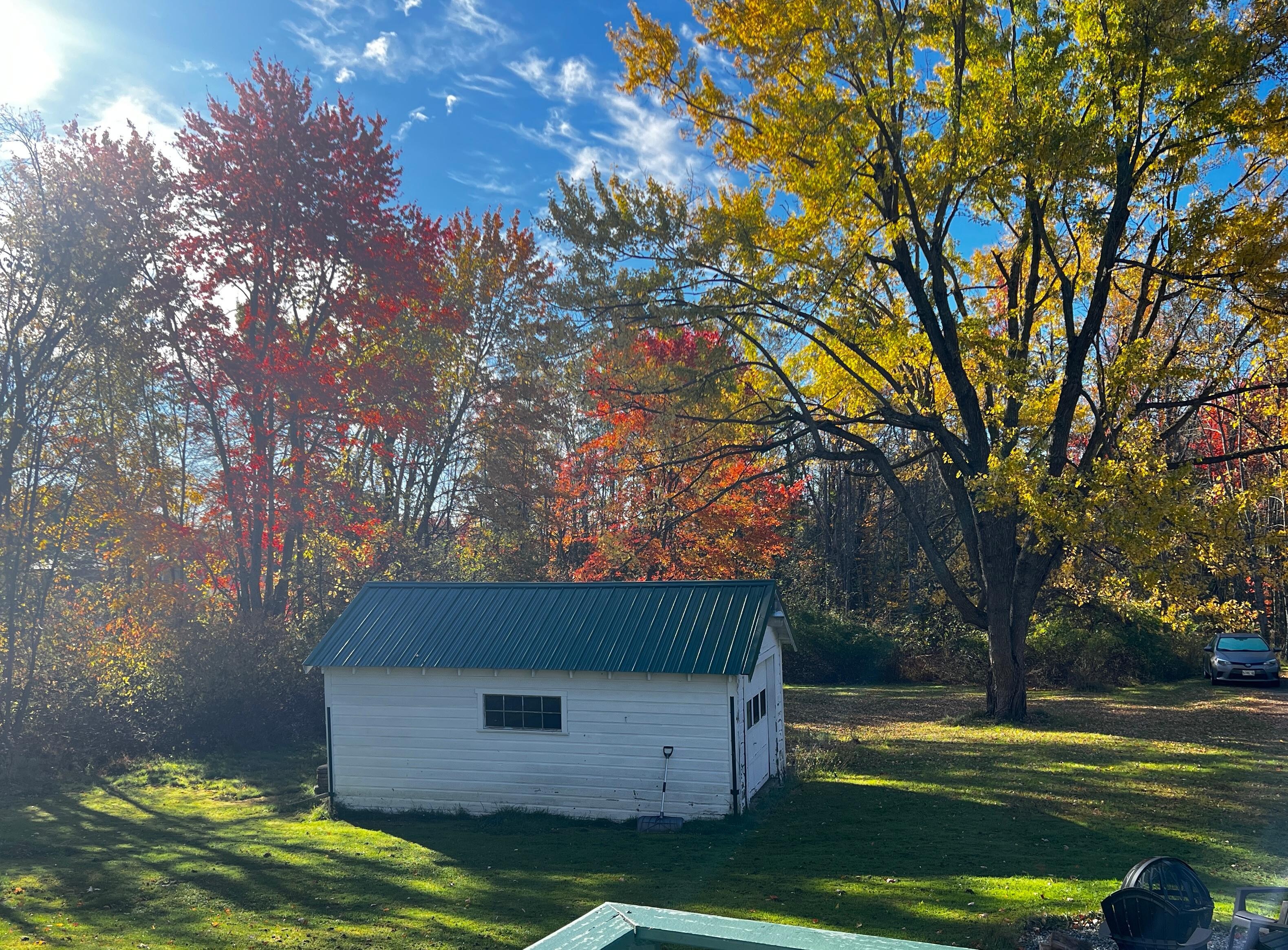 The view from the back door. 