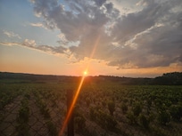 Coucher de soleil du jardin