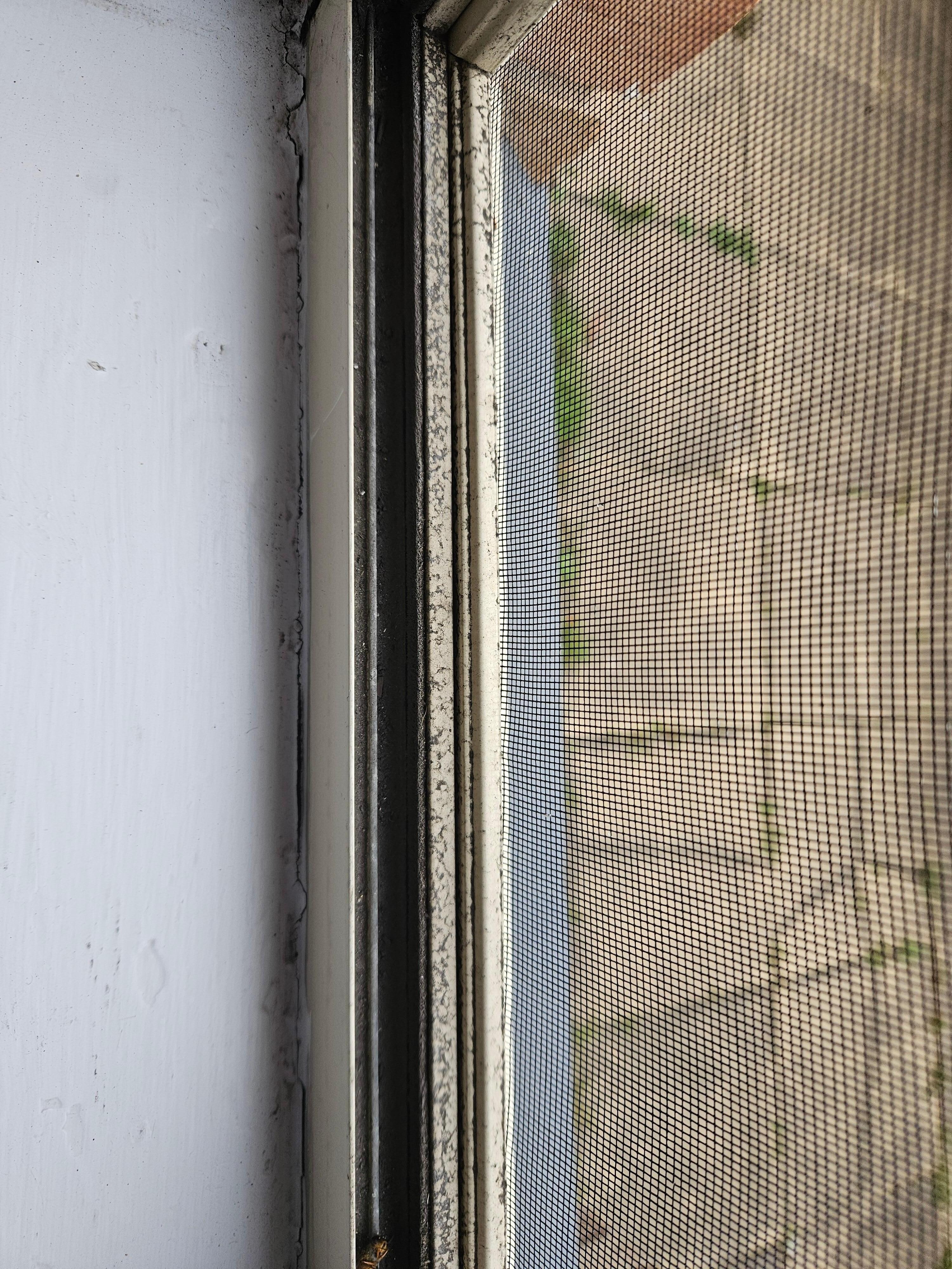 Filthy window tracks