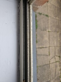 Filthy window tracks