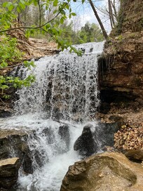 Tanyard Creek