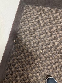 Floors have not been swept.