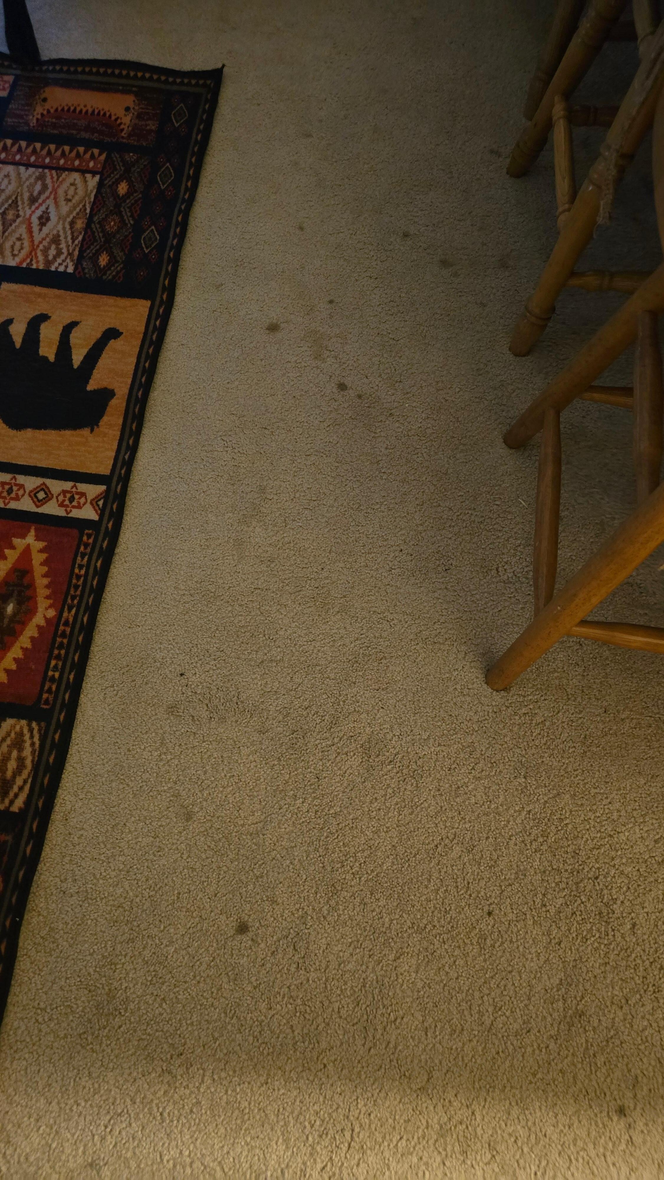 Stains in carpet