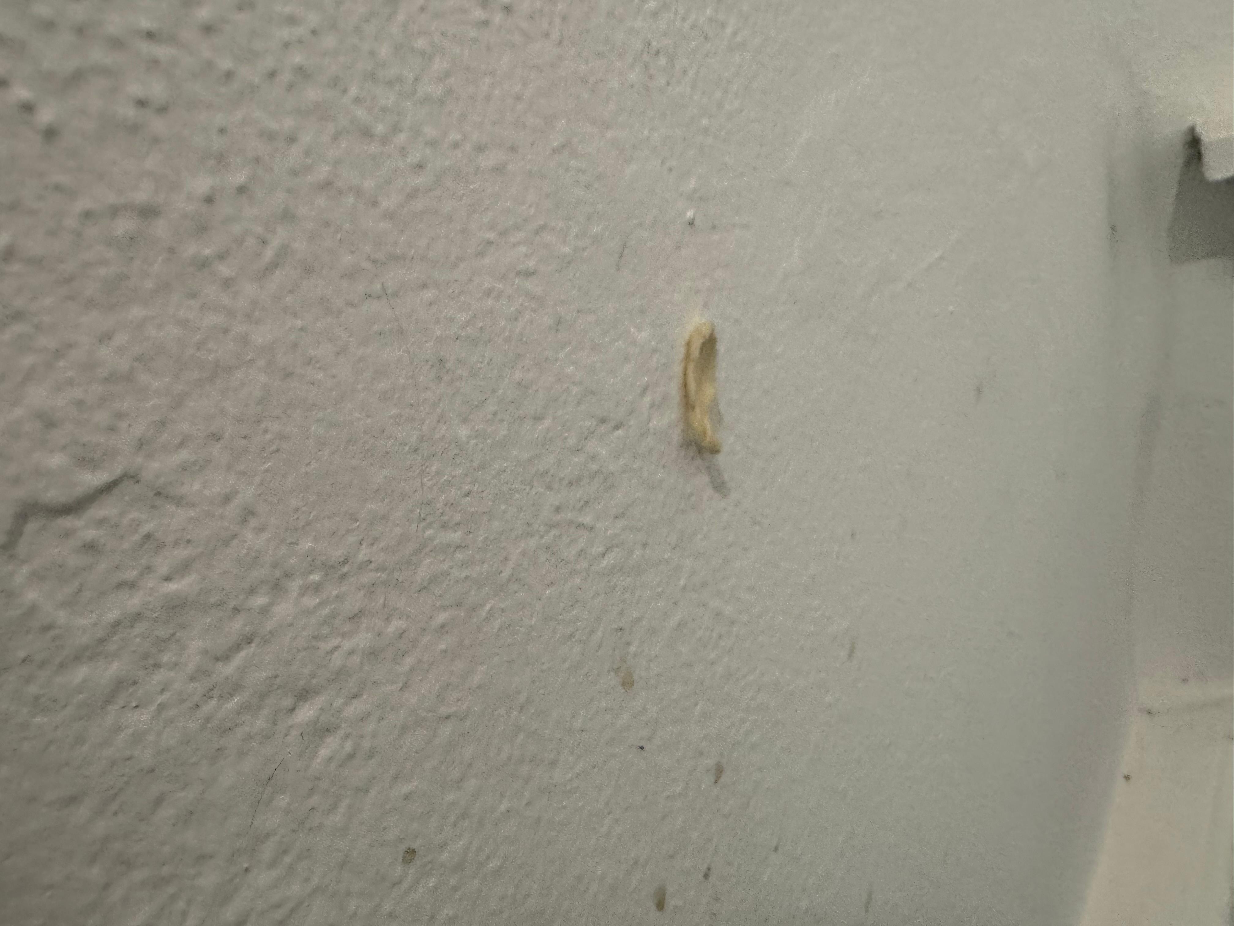 Chewing gum on the walls