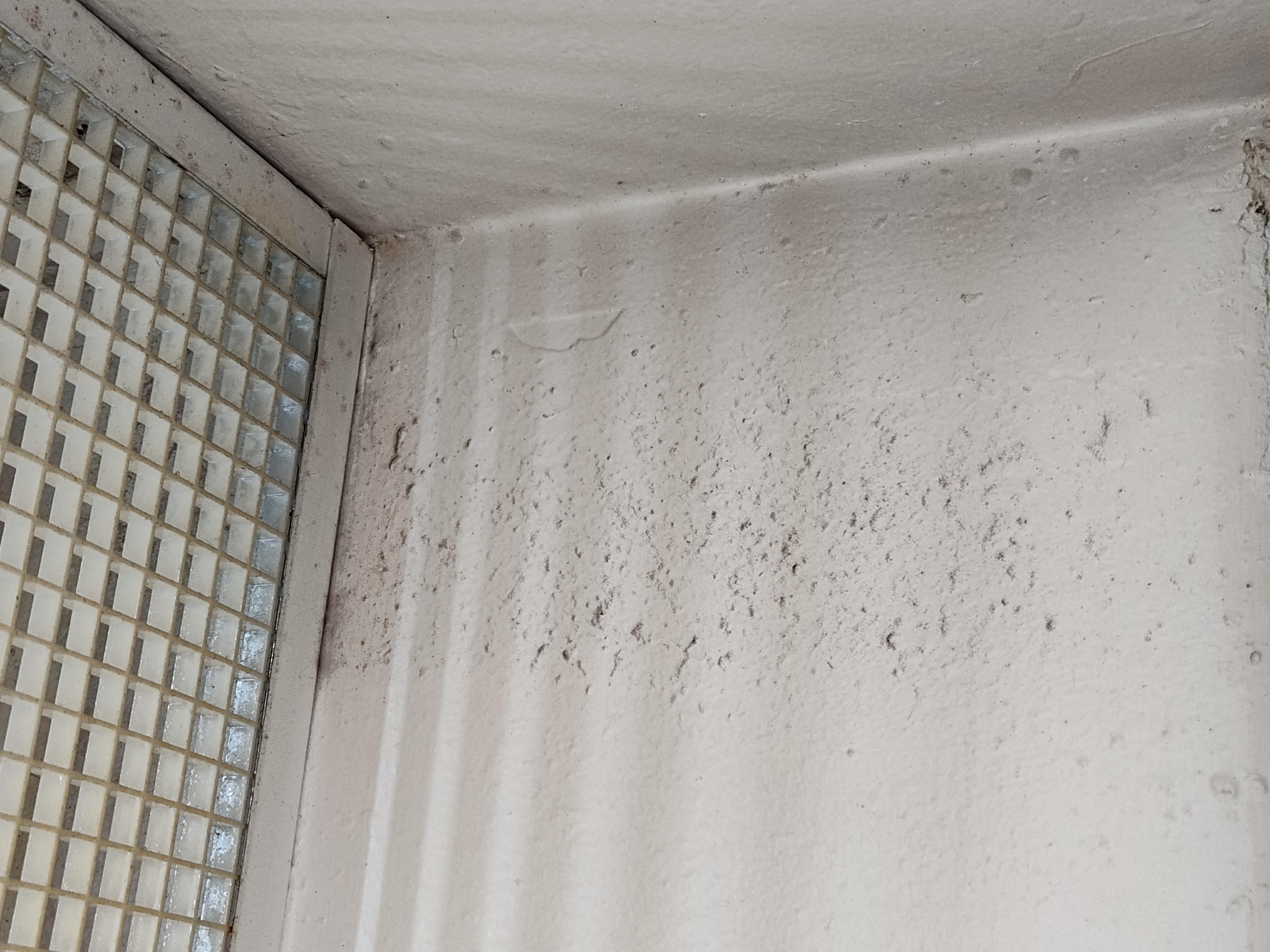 Filthy ceiling
