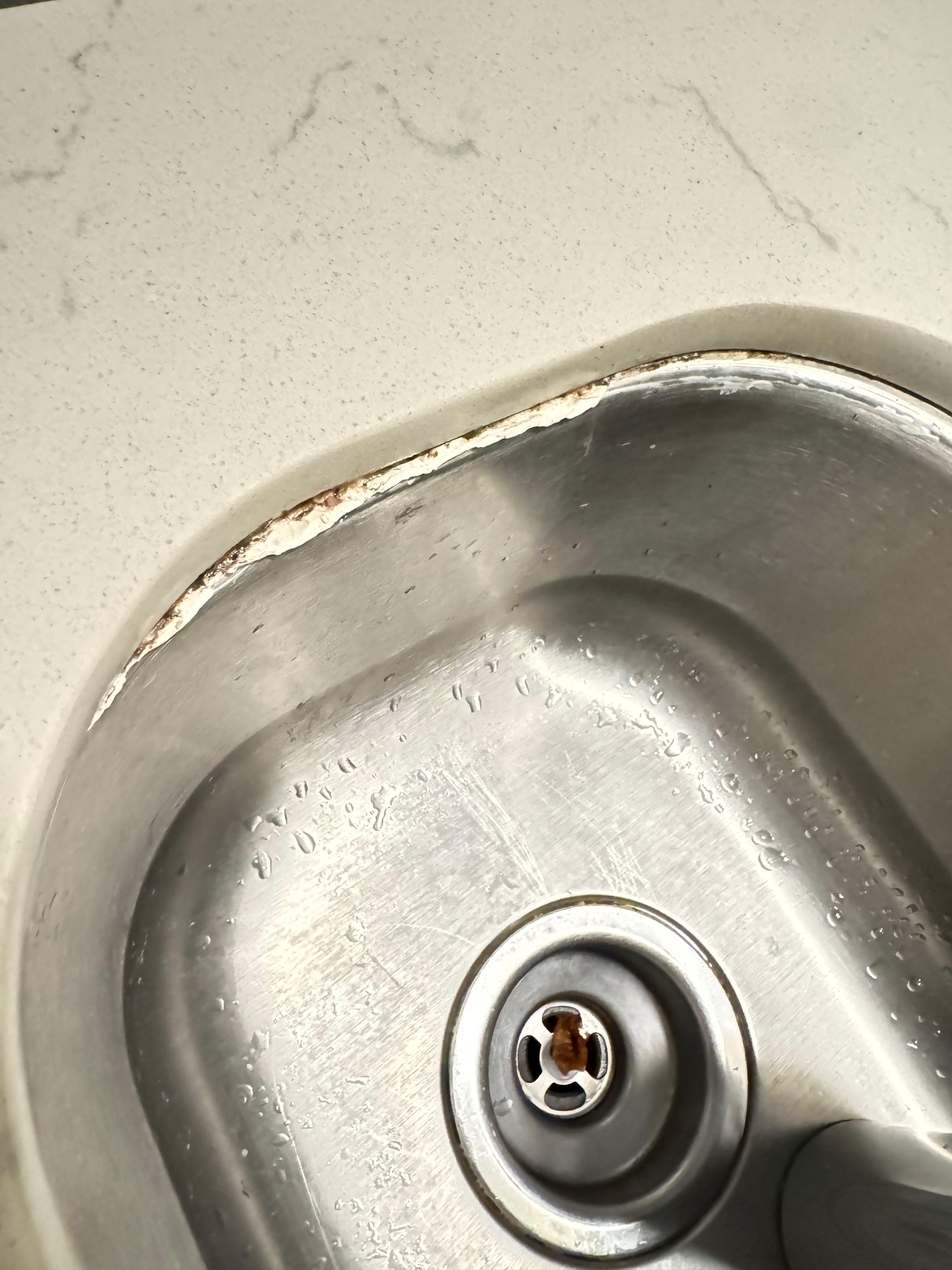 Kitchen sink mold