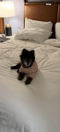 Pup friendly!