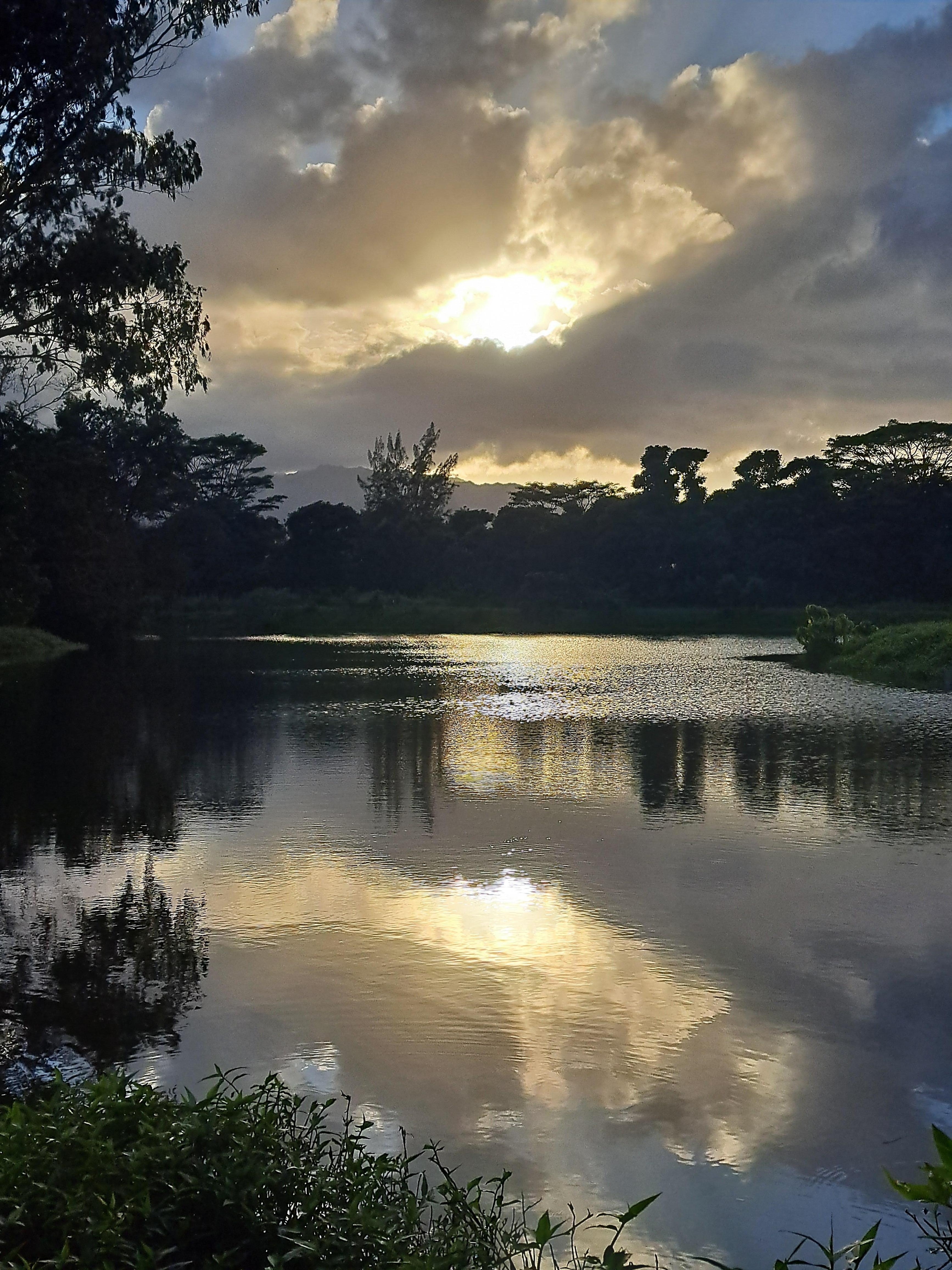Walking trail near by