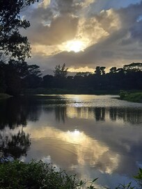 Walking trail near by