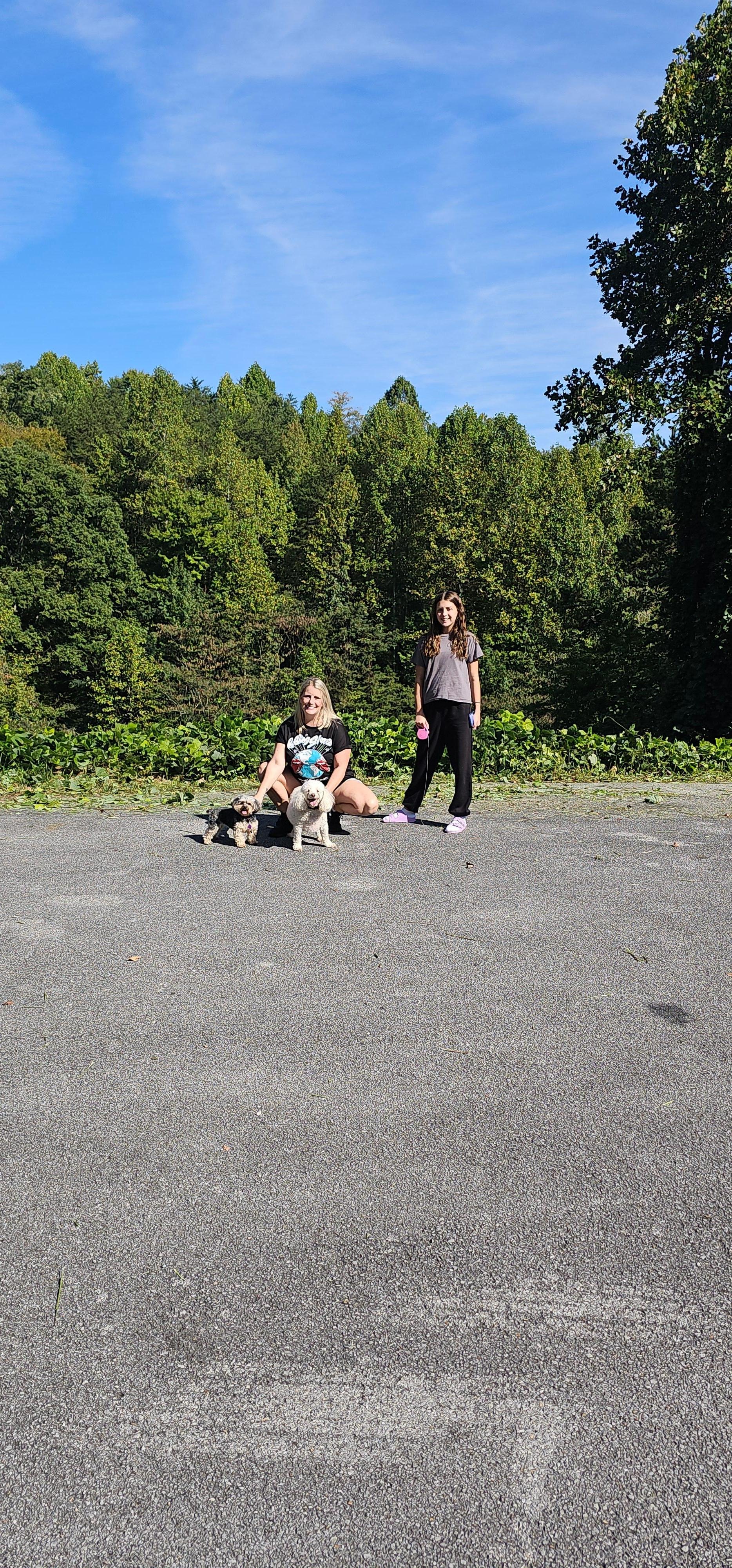 View from the parking lot at the bottom of the driveway.