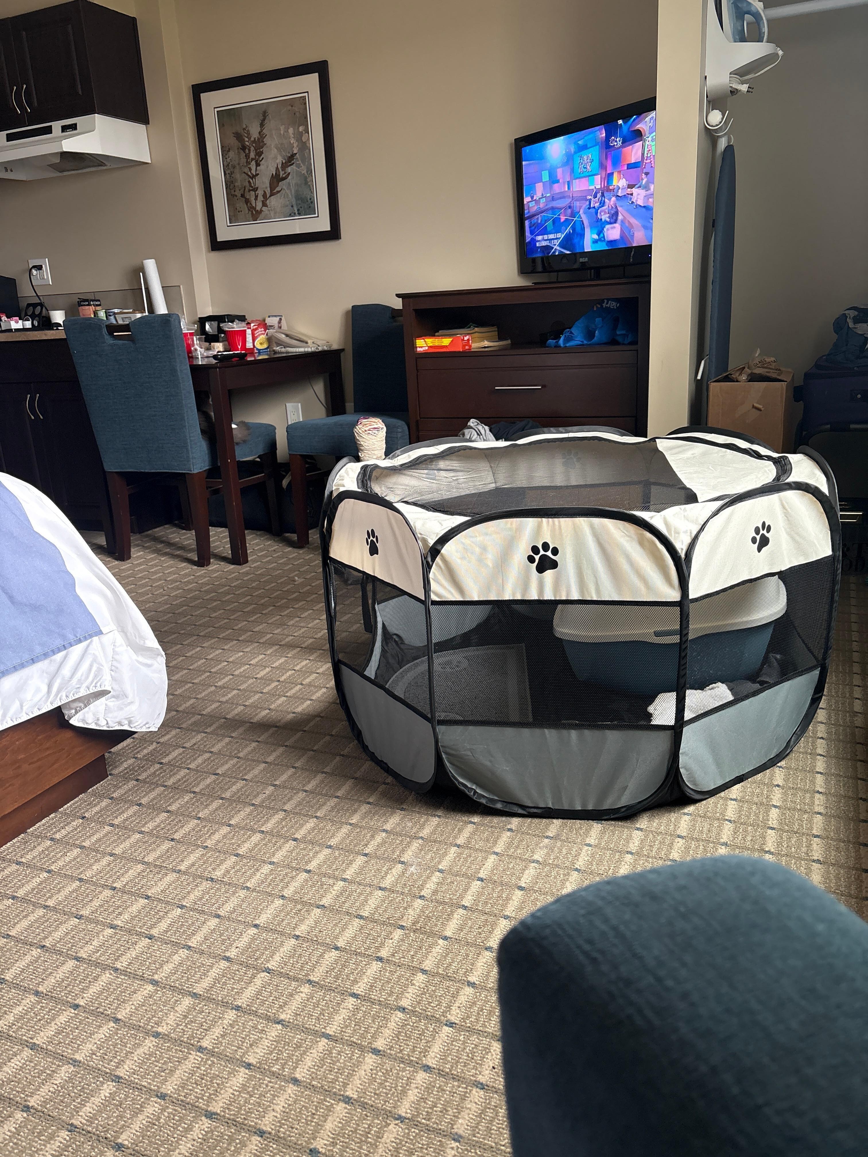 We brought our own pen for the cat