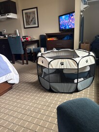 We brought our own pen for the cat