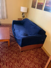 What’s the couch cover really hiding
