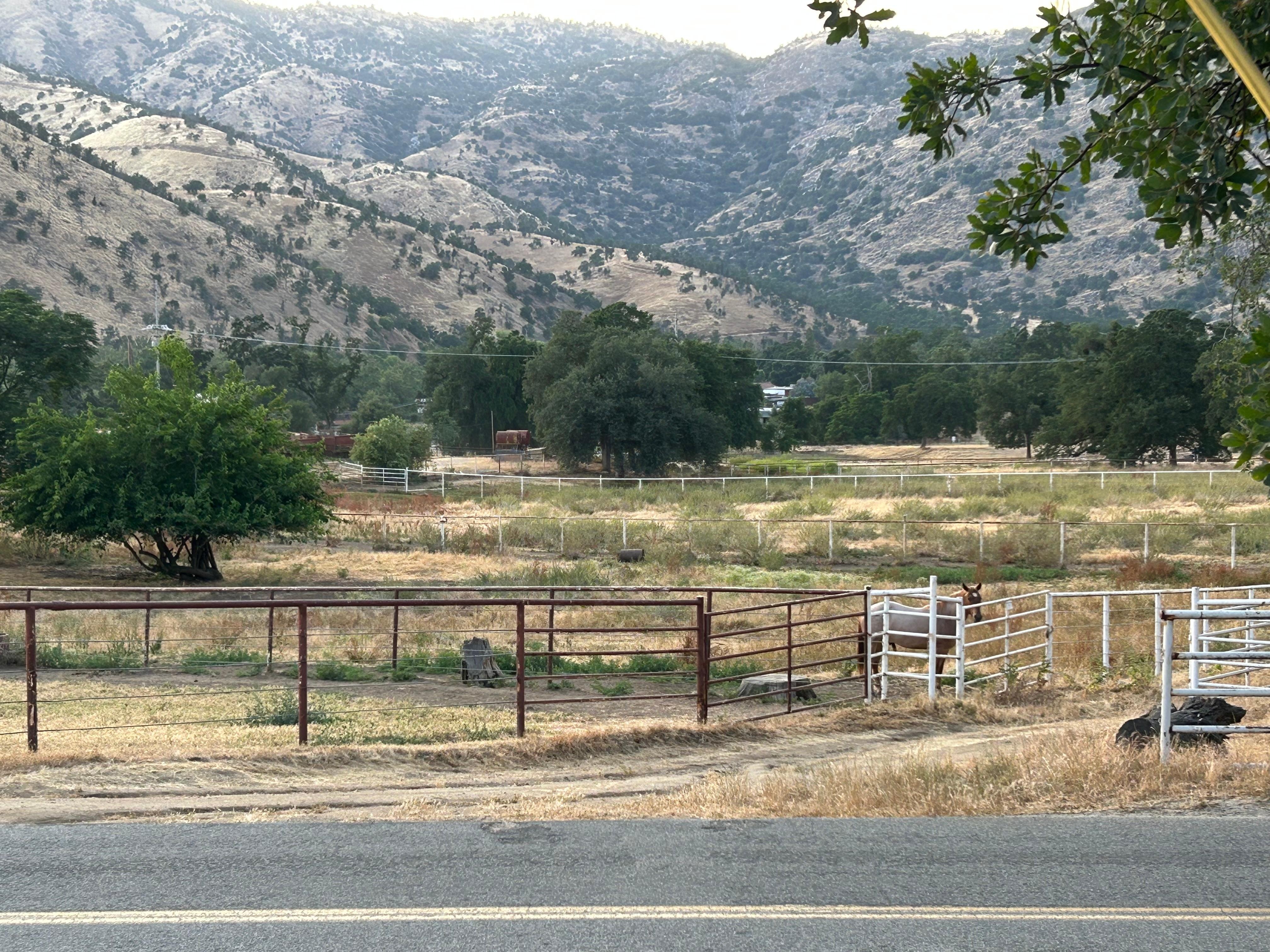 Beautiful view across the street and loved seeing the horses!