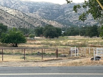 Beautiful view across the street and loved seeing the horses!