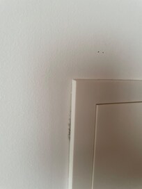 mold