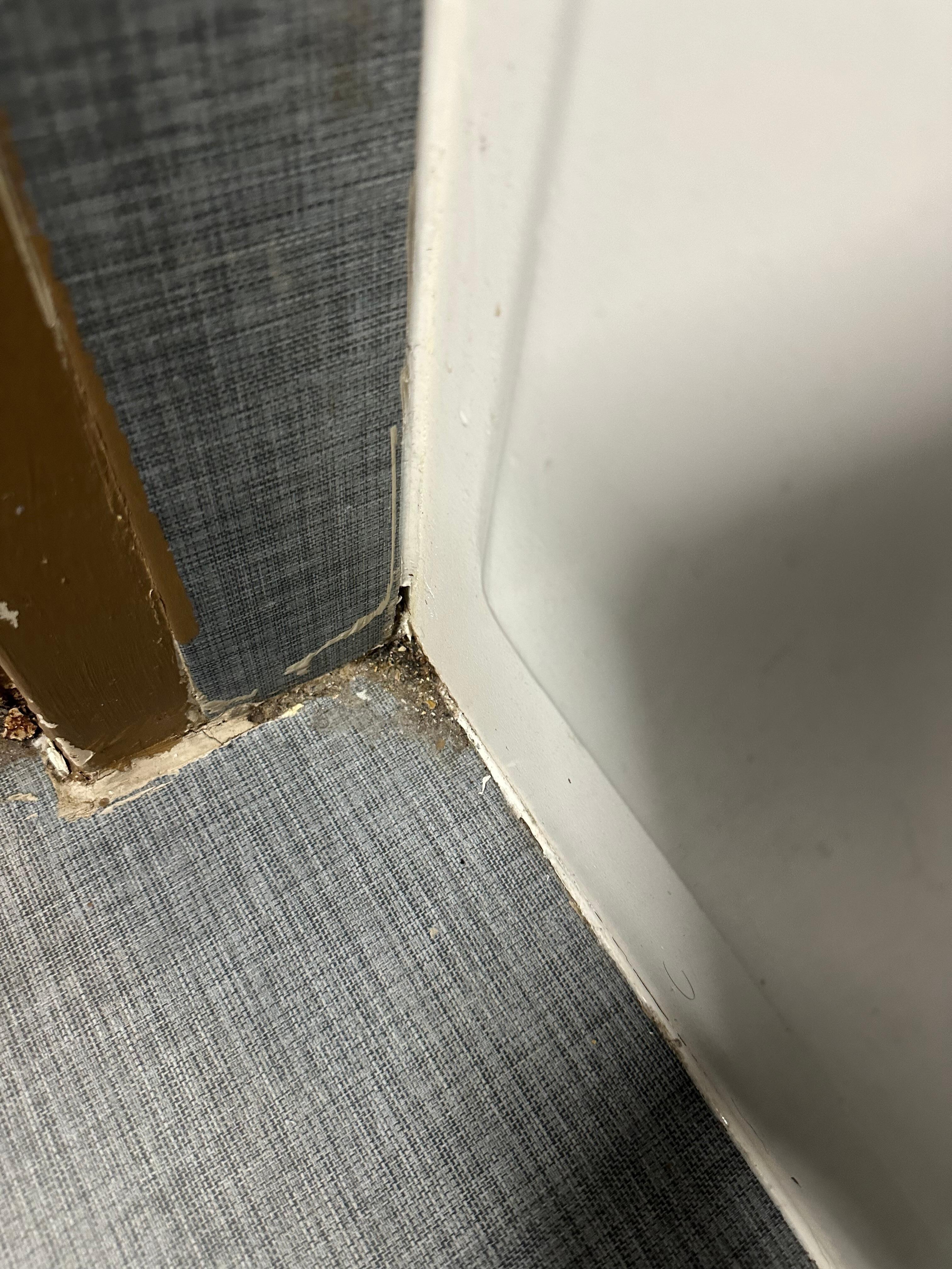 Decay in the corner where the bathtub meets the floor