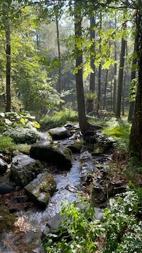 Creek runs through property