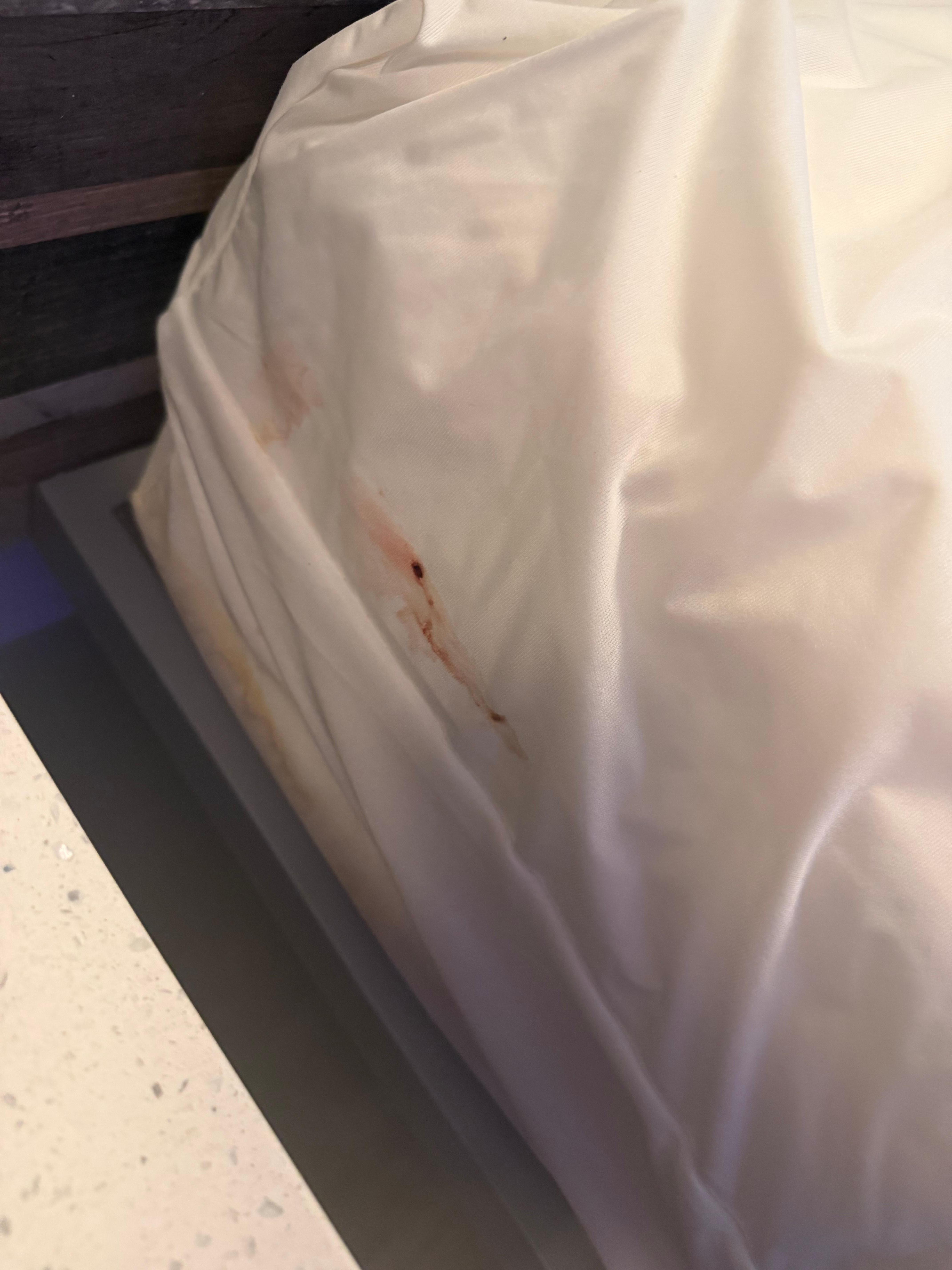 Bedbug residue  4th floor room
