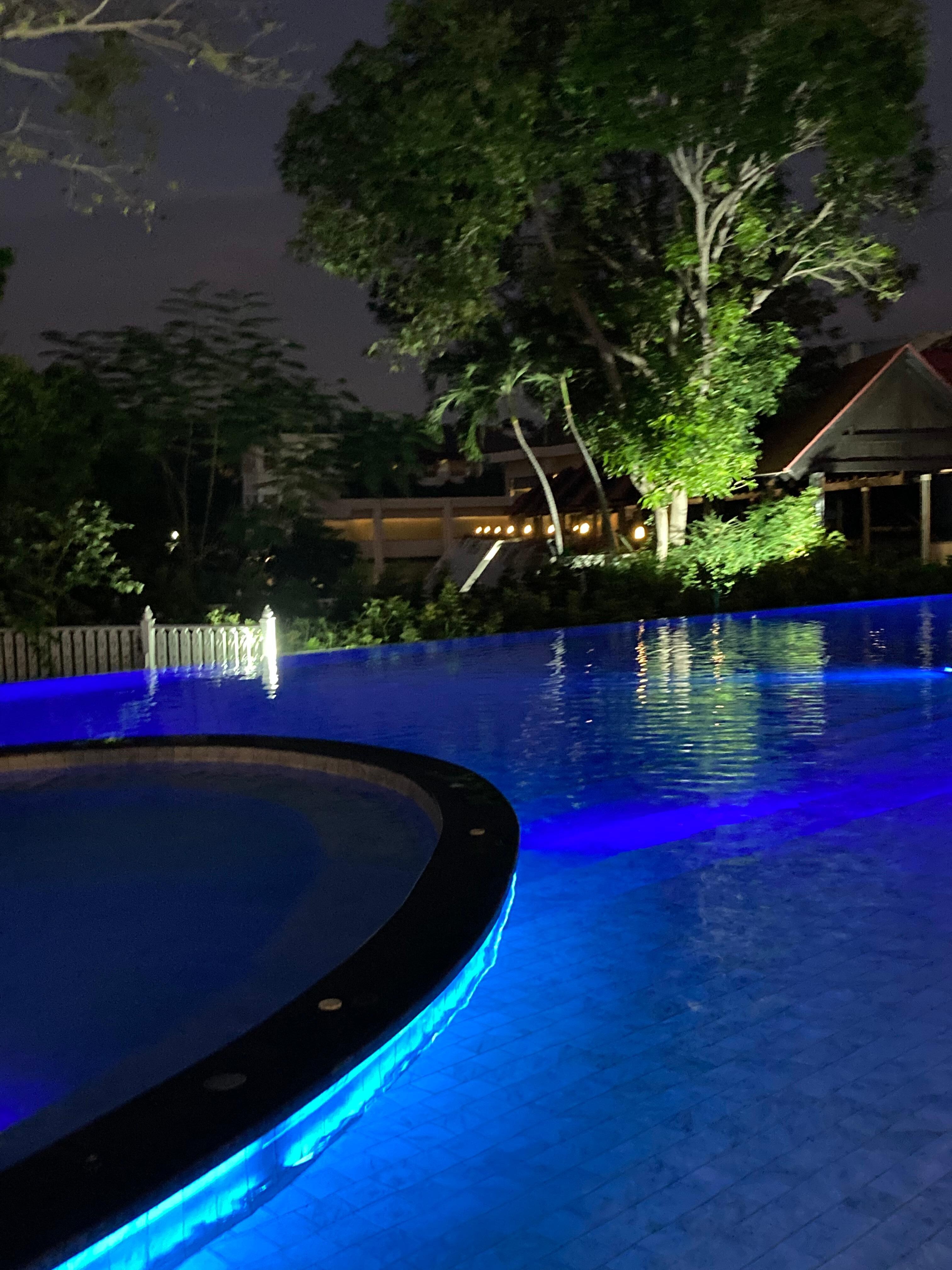 プールが最高！