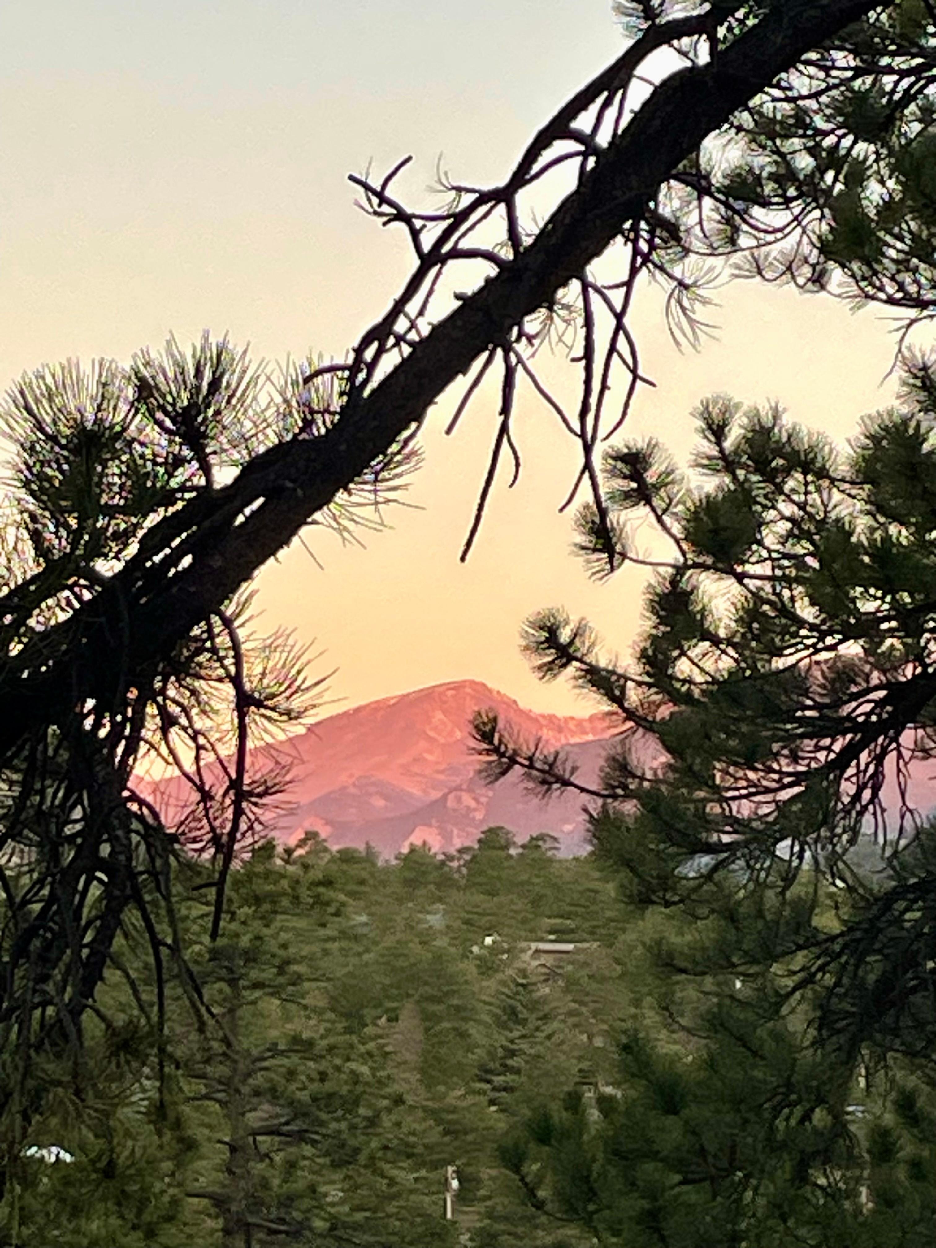 Morning view from kitchen table