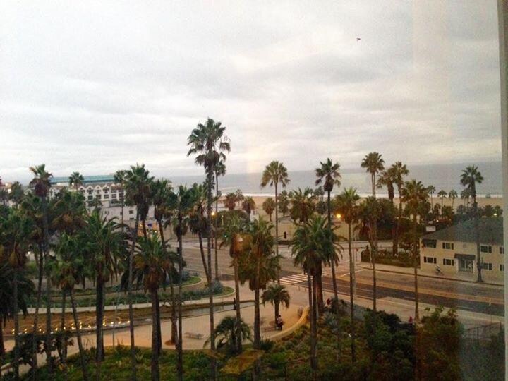 My room window view