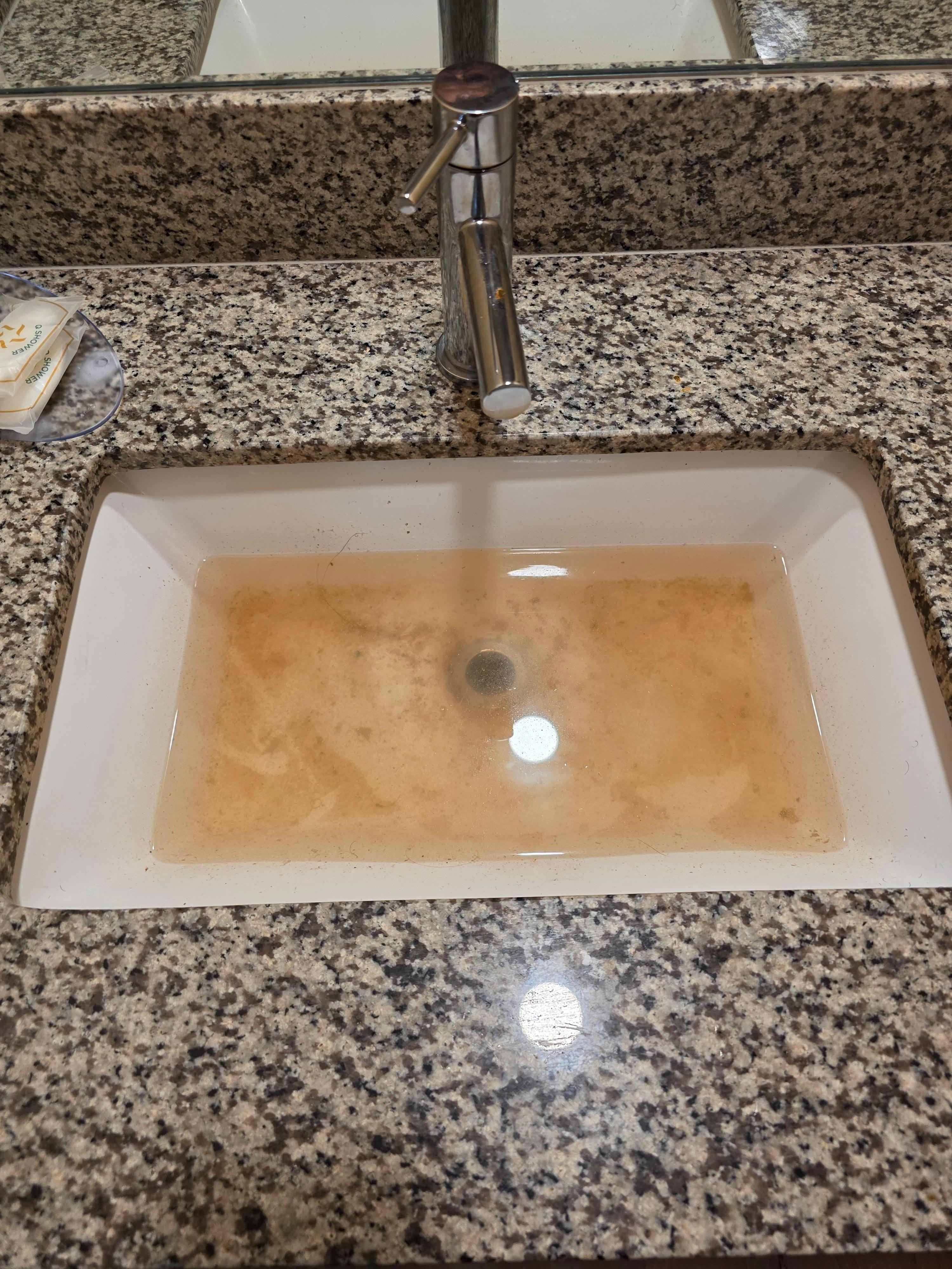 Clogged sink with nasty standing water.