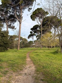 Gassirunde, ca. 30 m vom Haus entfernt