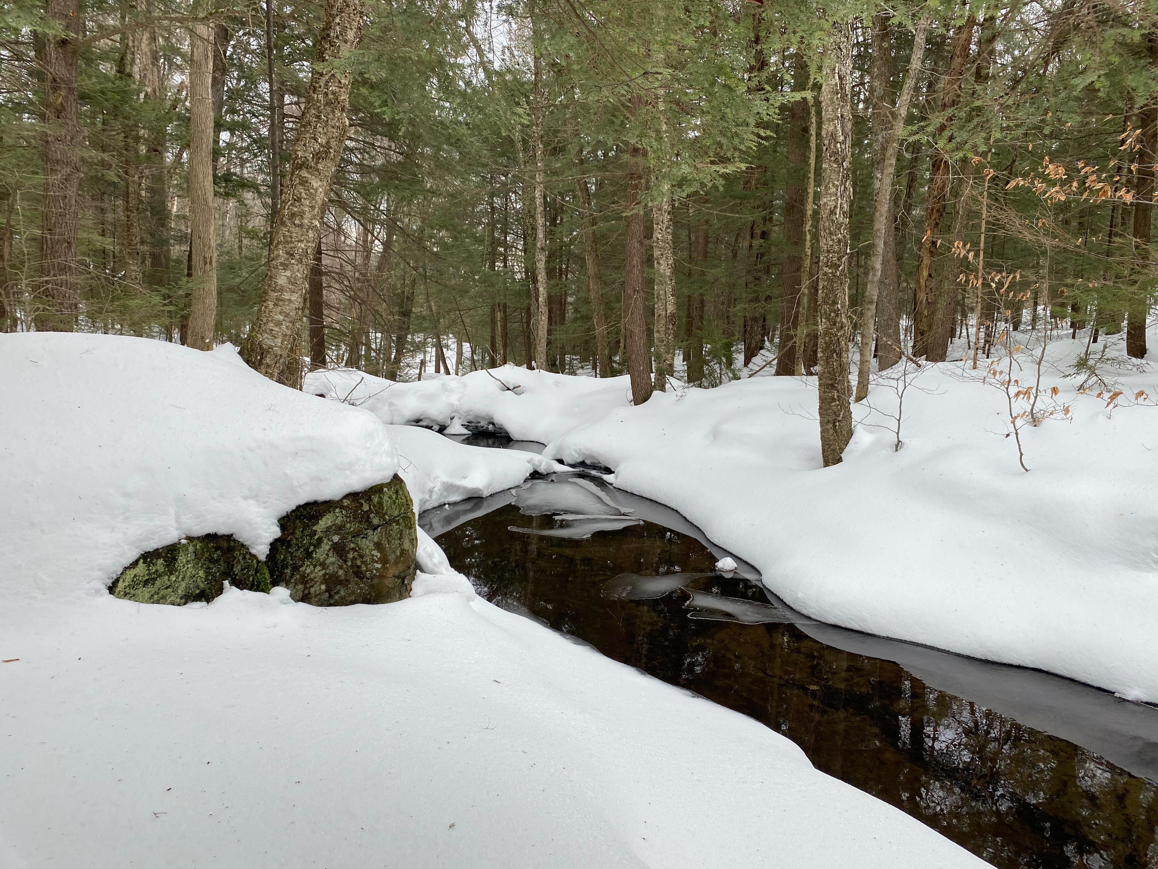 The creek behind the house had opened a bit, even in the cold weather