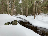 The creek behind the house had opened a bit, even in the cold weather