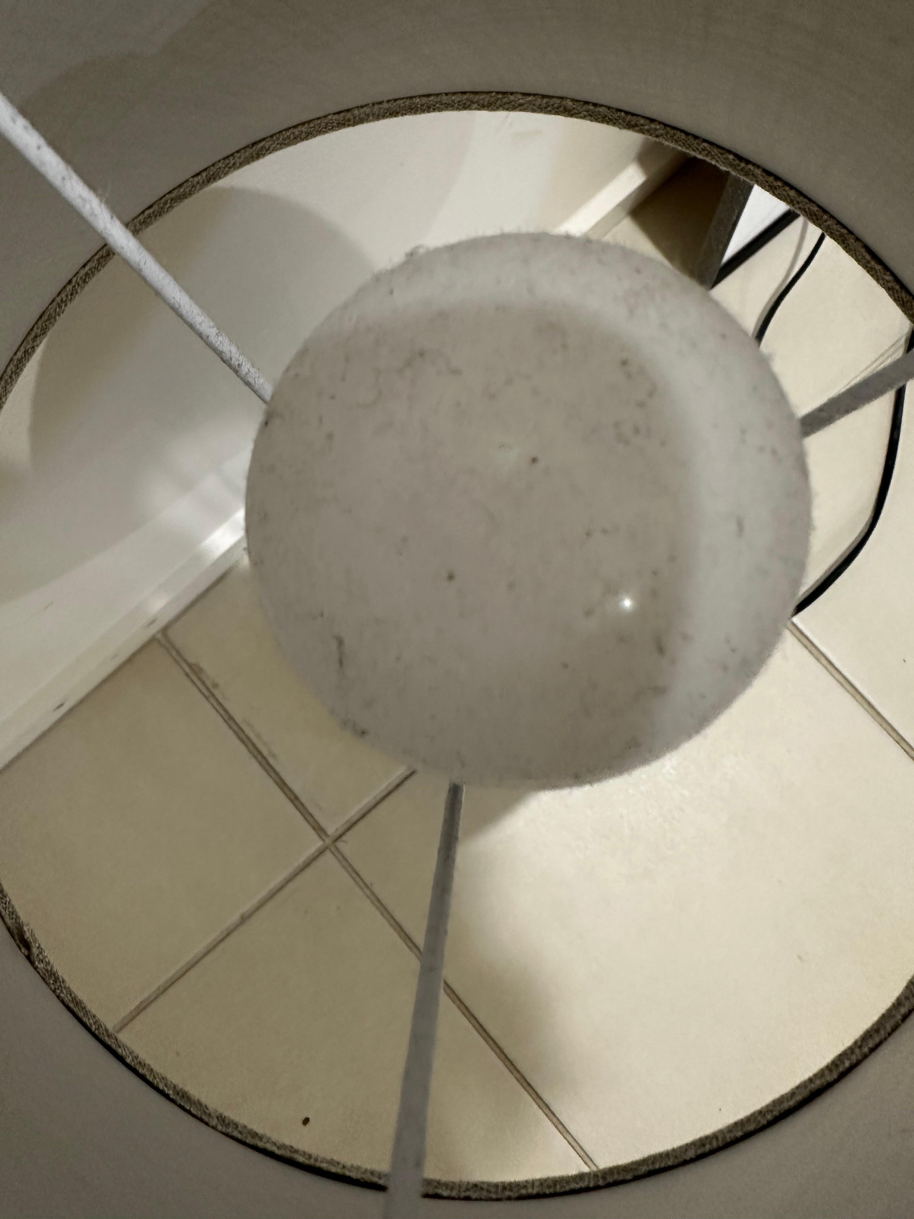 Light globes in bedside lamps