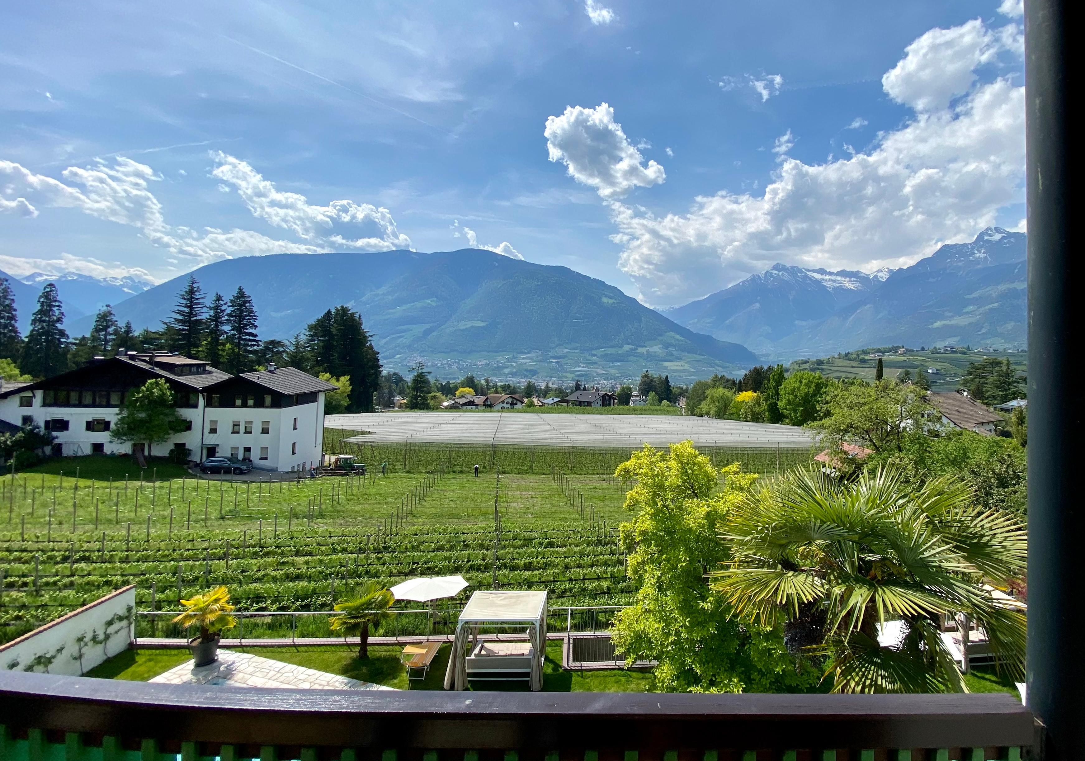 Ausblick vom Balkon