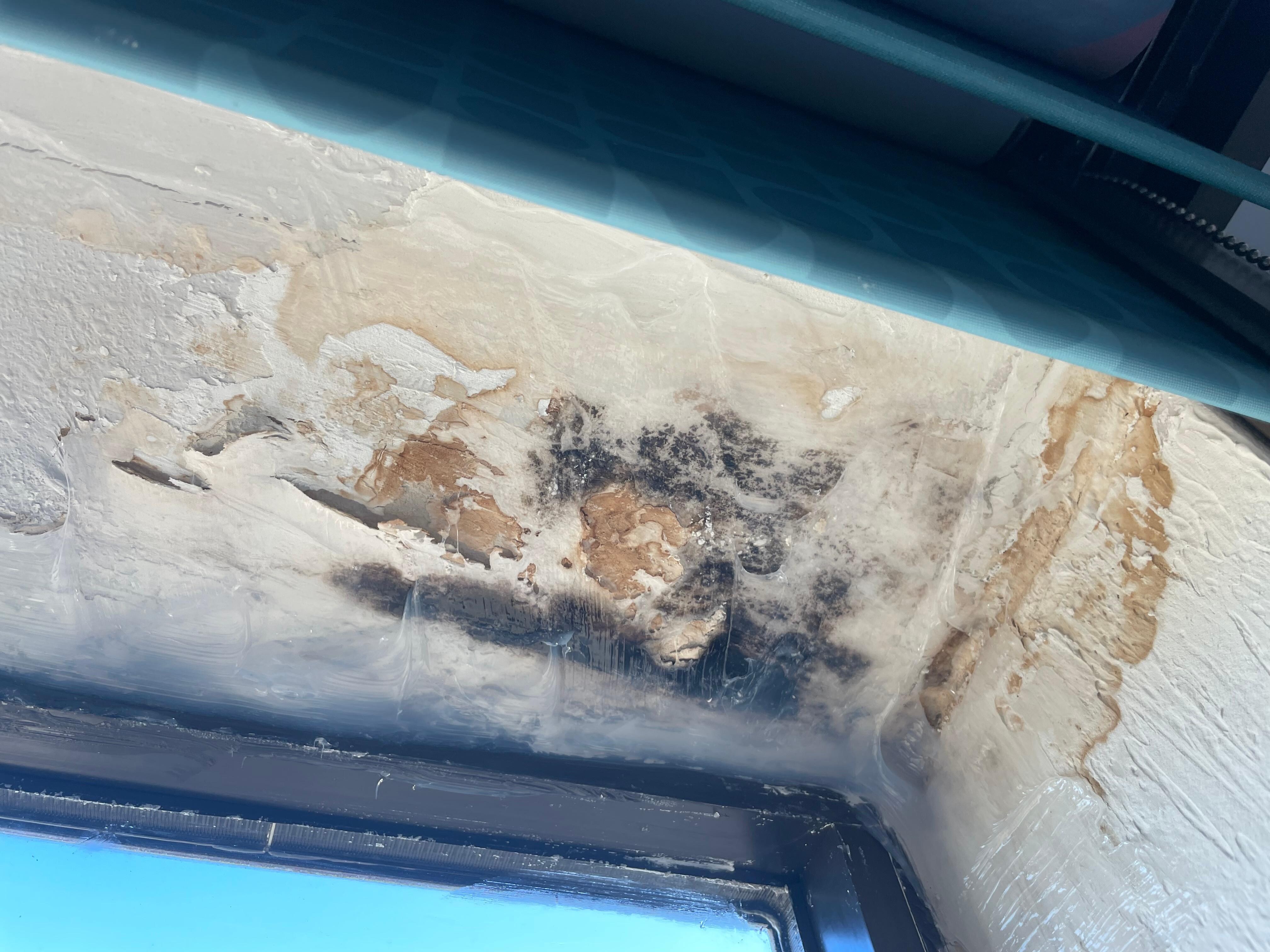 BLACK MOLD!!
