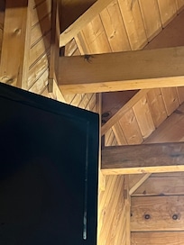 The spider was NOT a welcomed guest and was HUGE!