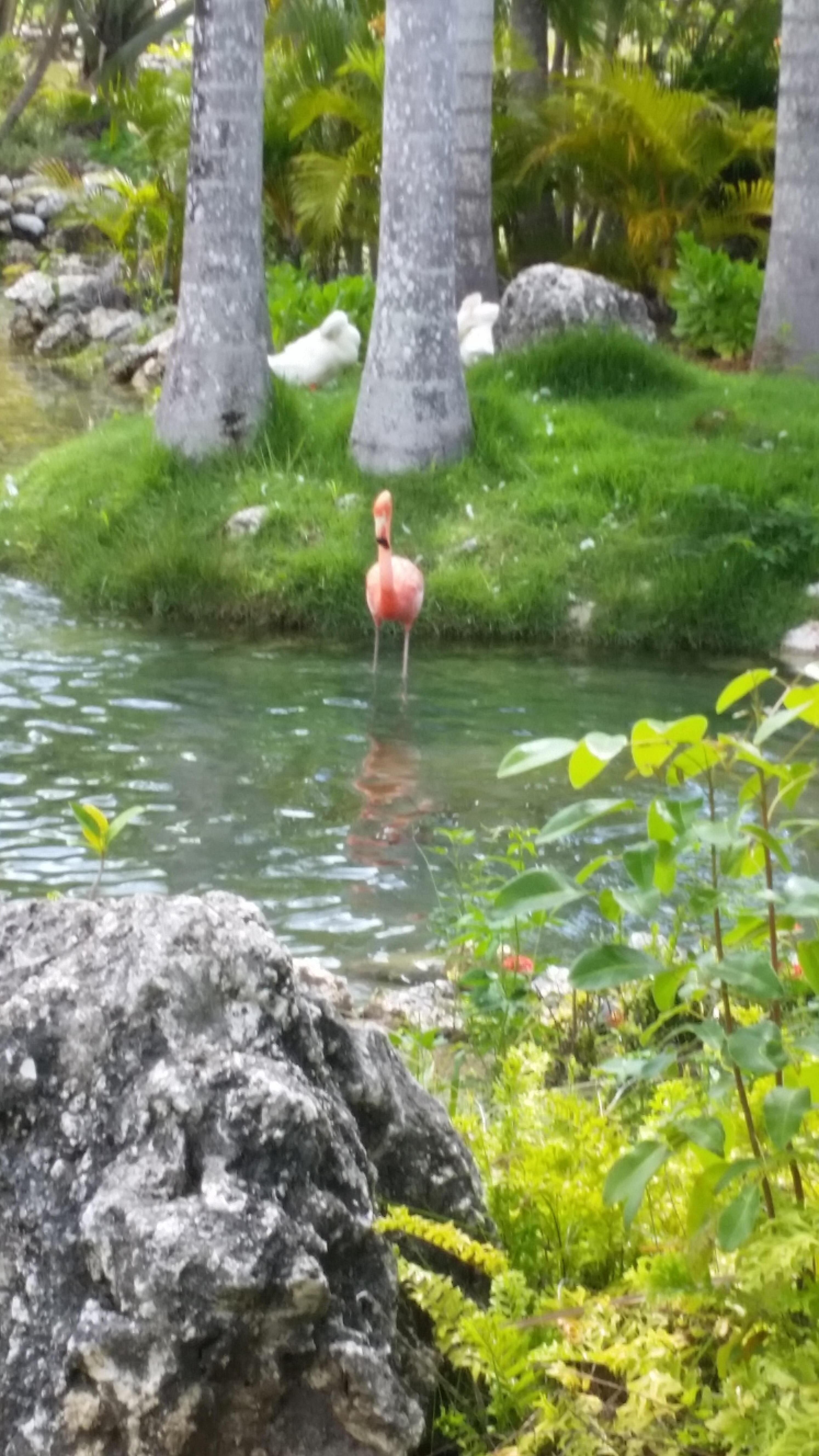 Nature