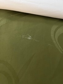 There was an odd substance on the bed.