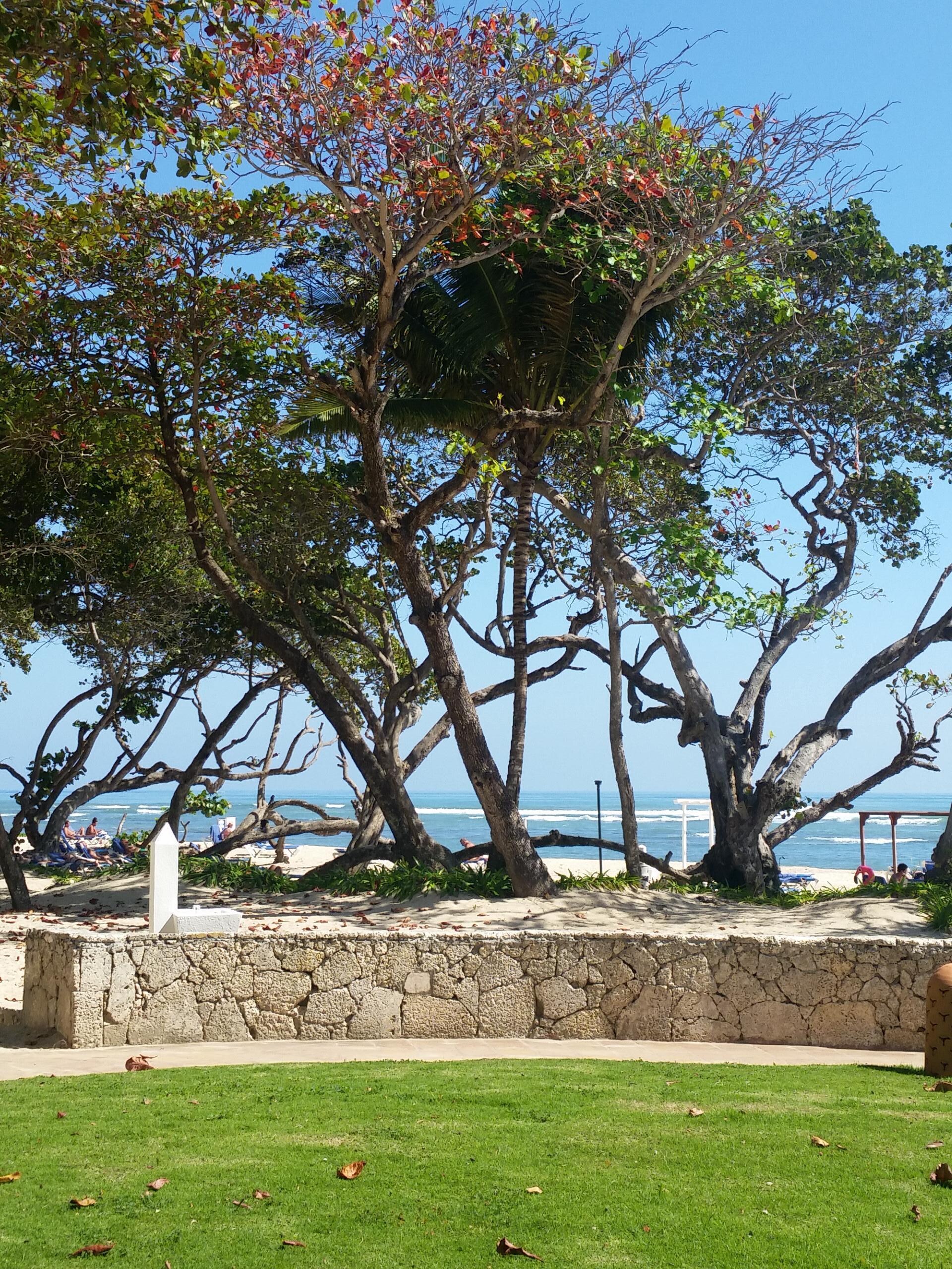 Room view
