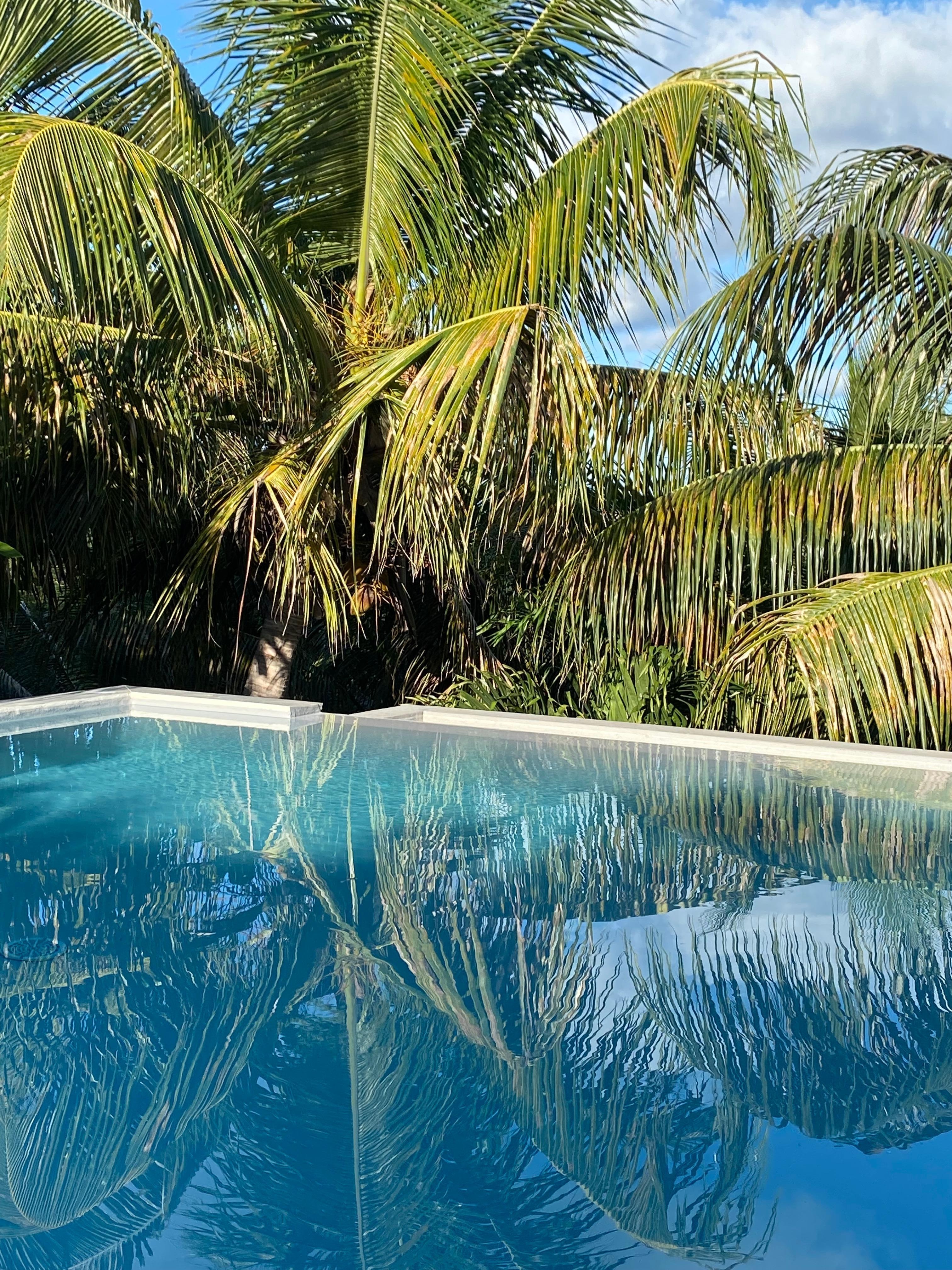 Beautiful pool and landscaping