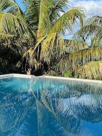 Beautiful pool and landscaping