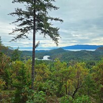 View from the patio