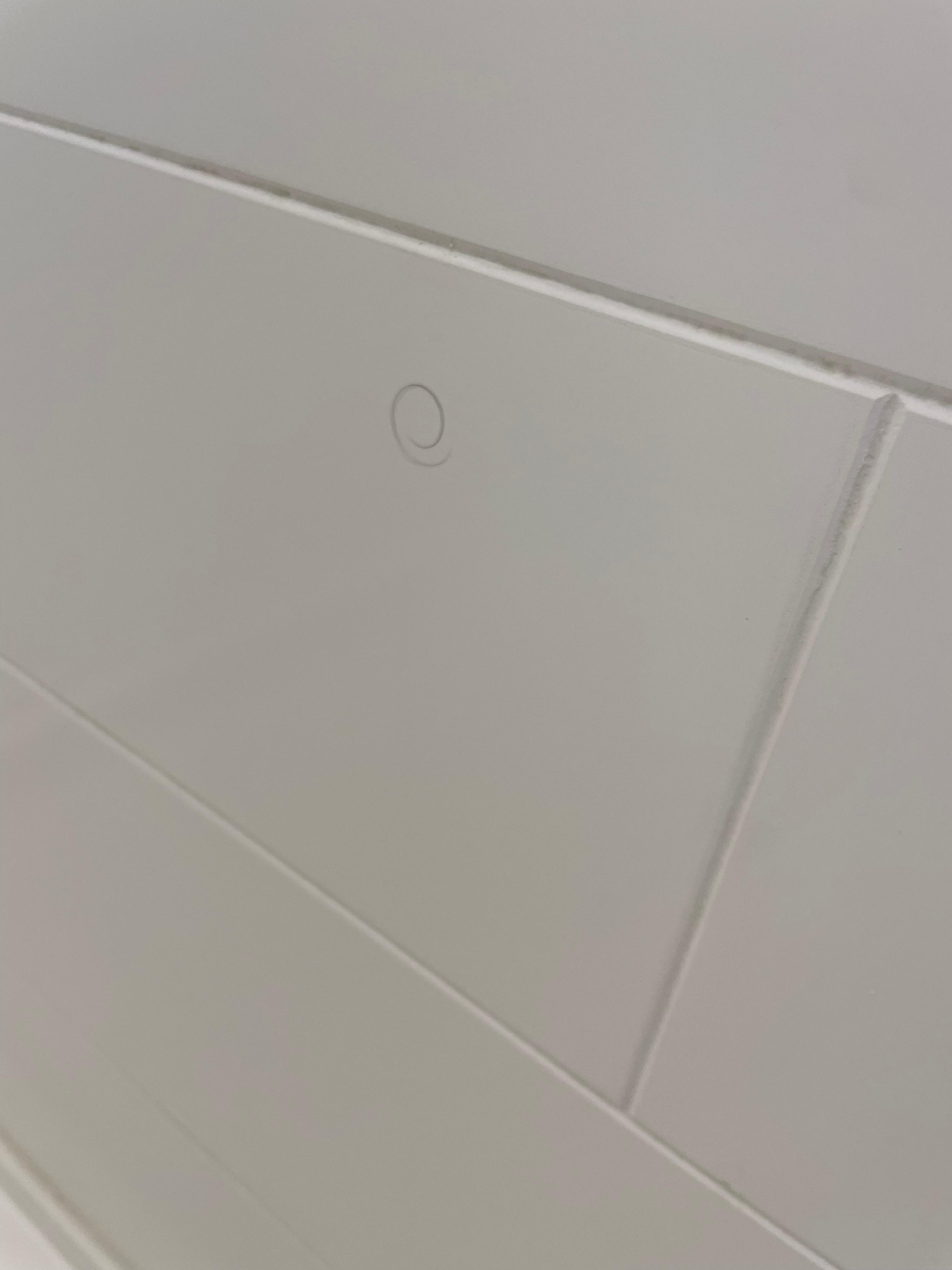 Pubic hair on the shower wall