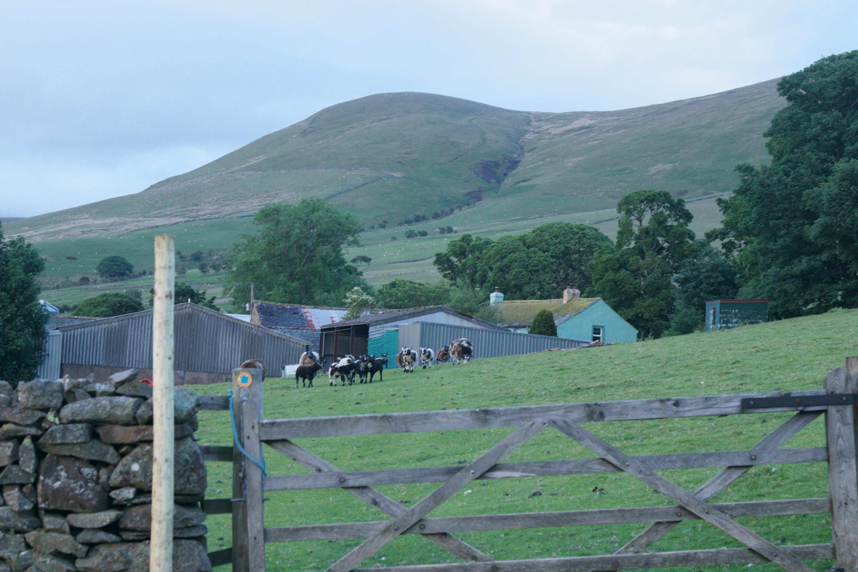 Farm yard