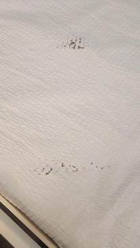 Holes in the bed covering