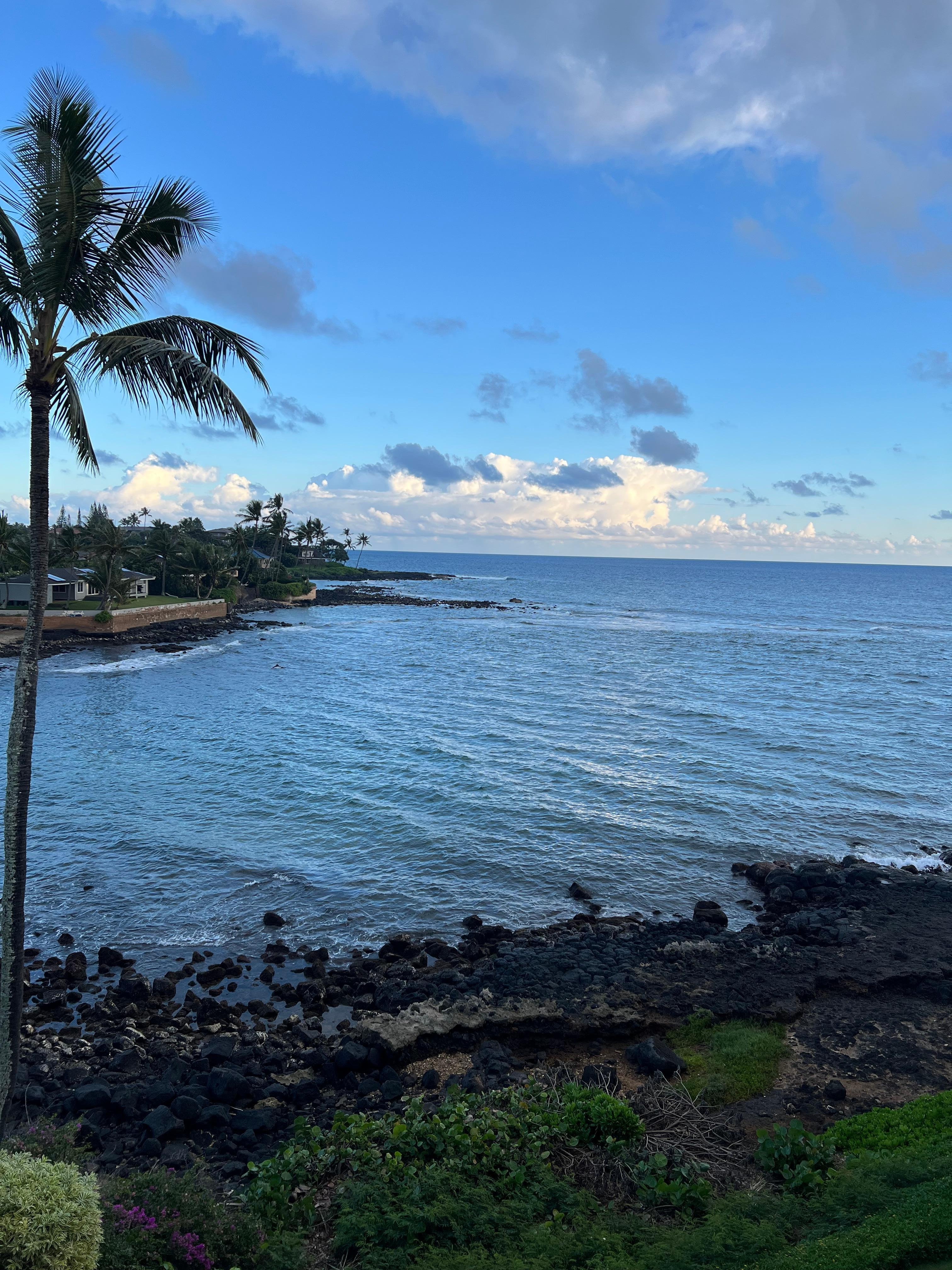 View from lanai.
Saw several whales too!