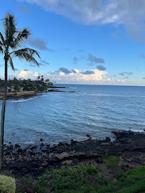 View from lanai.
Saw several whales too!