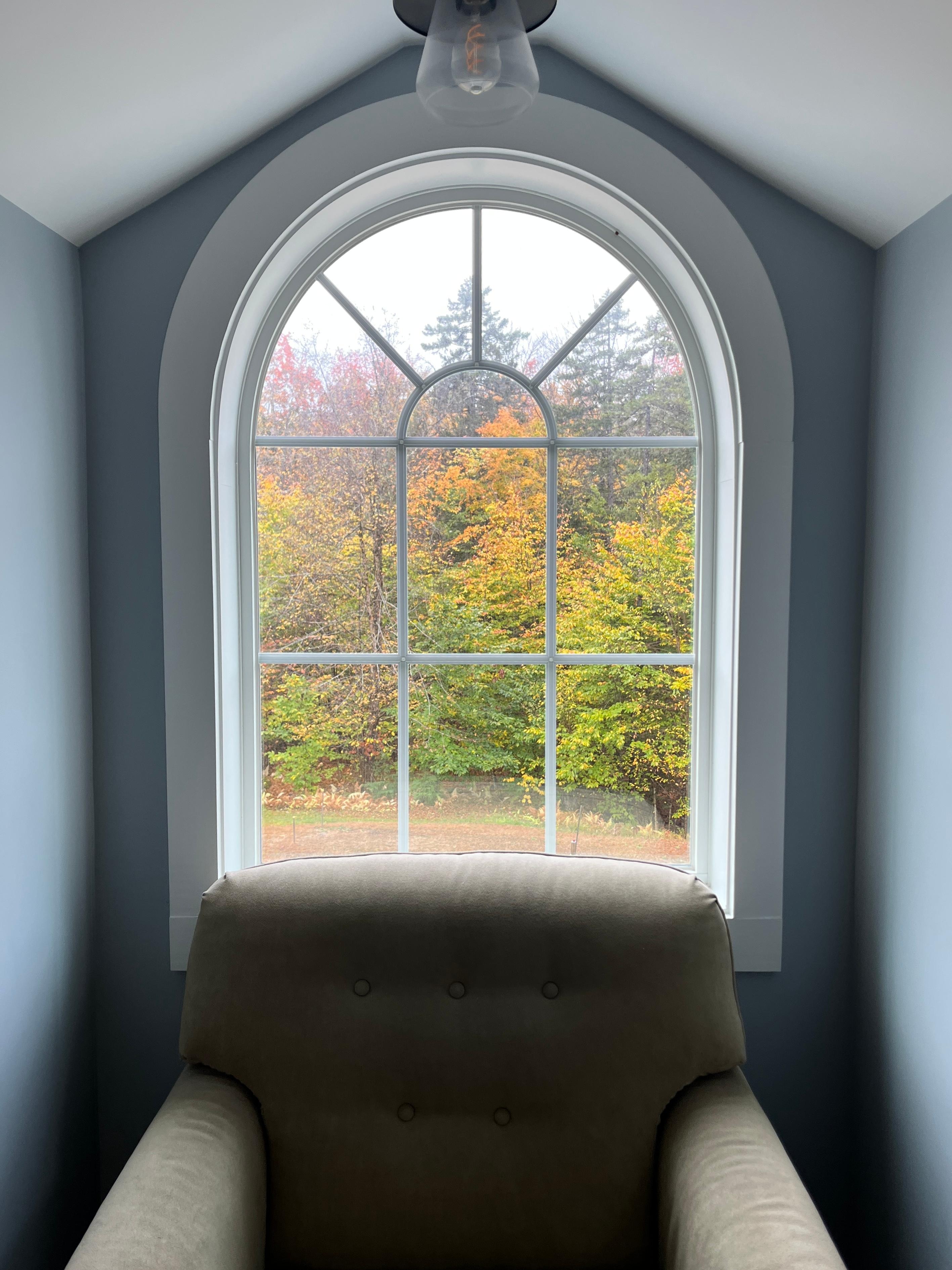 Fall trees seen from one of the living room windows