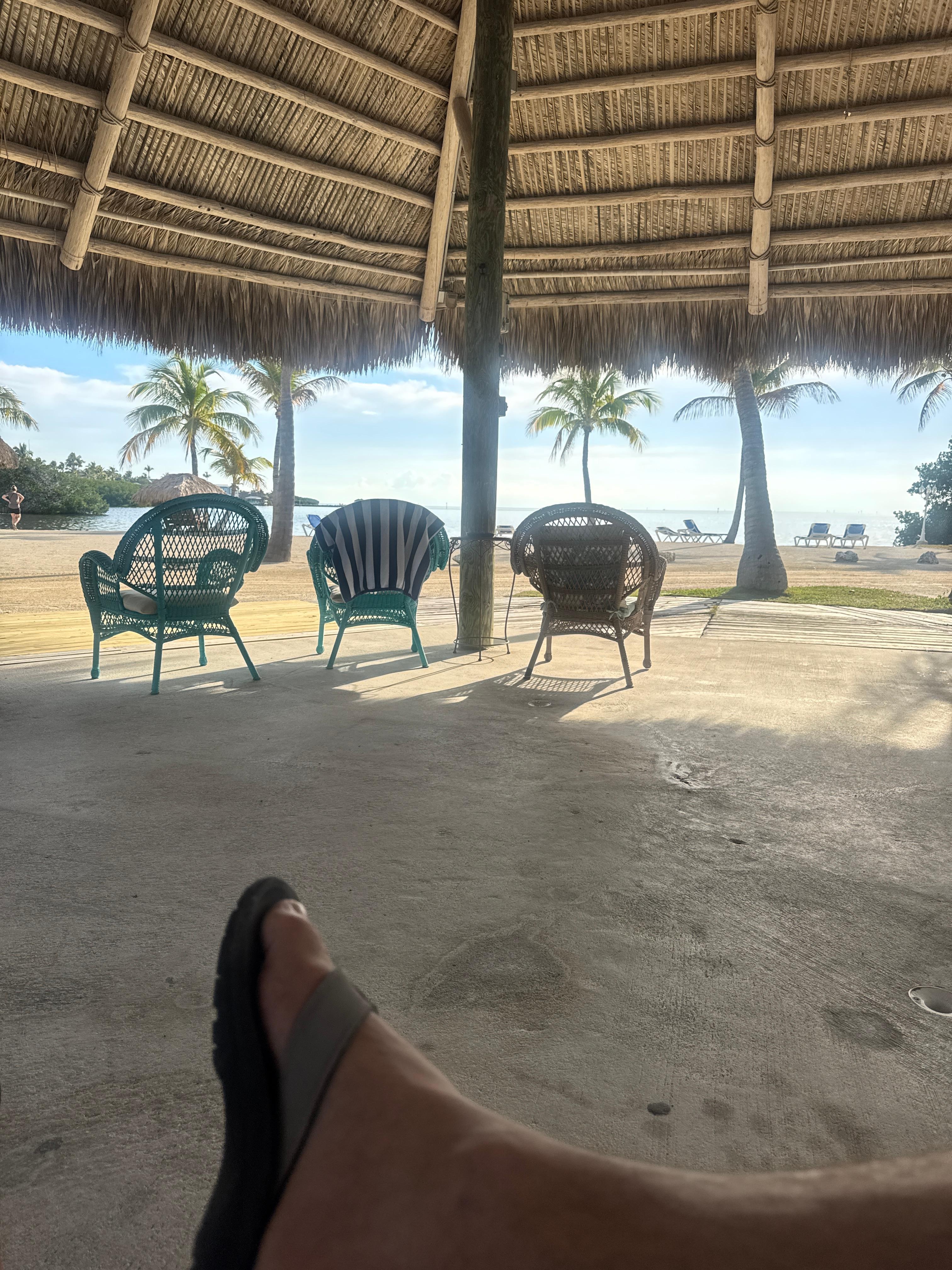 Plenty of shade and comfortable seating 