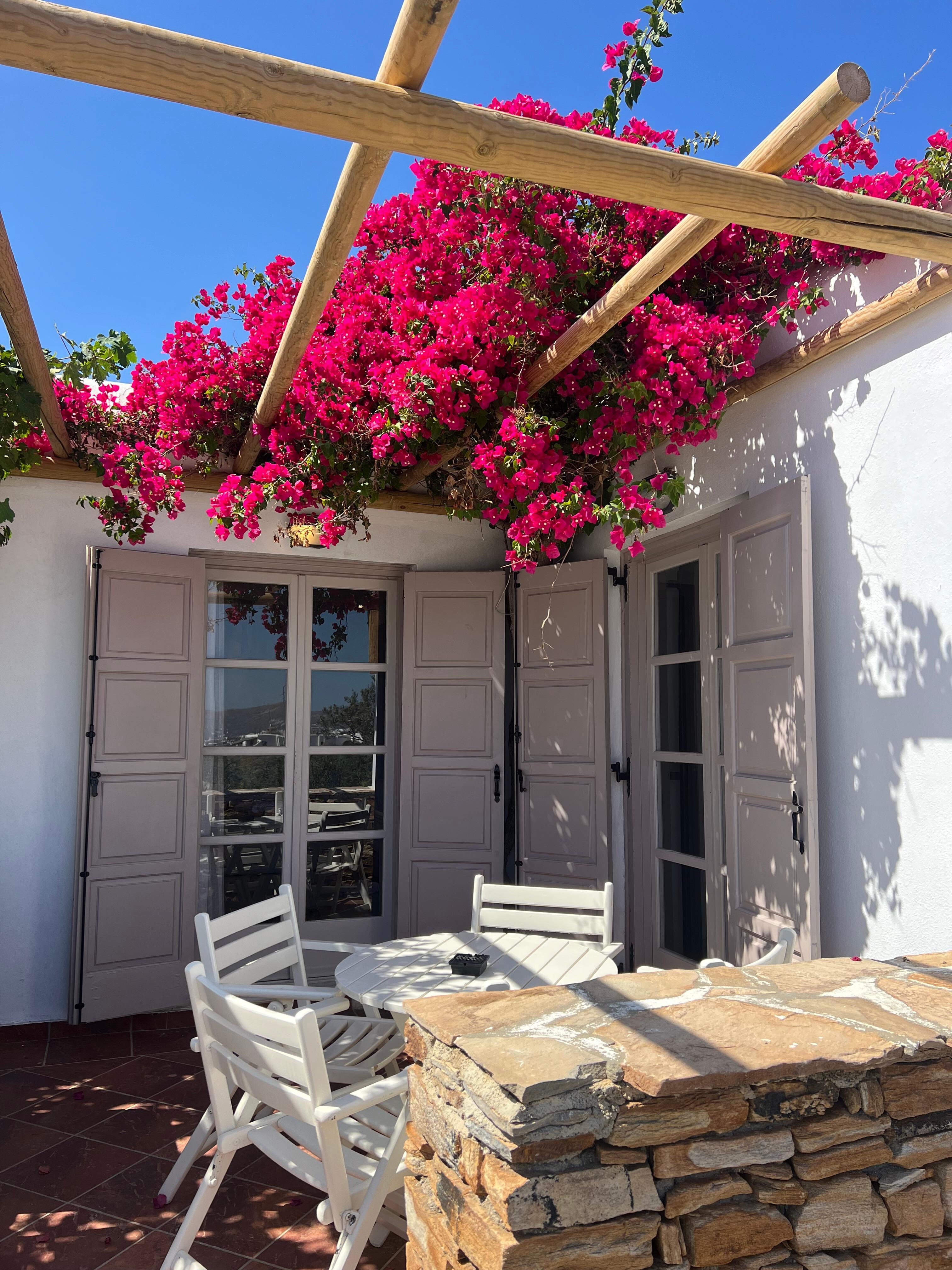 Amazing and private balcony with nice Greek vibes- flowers. 