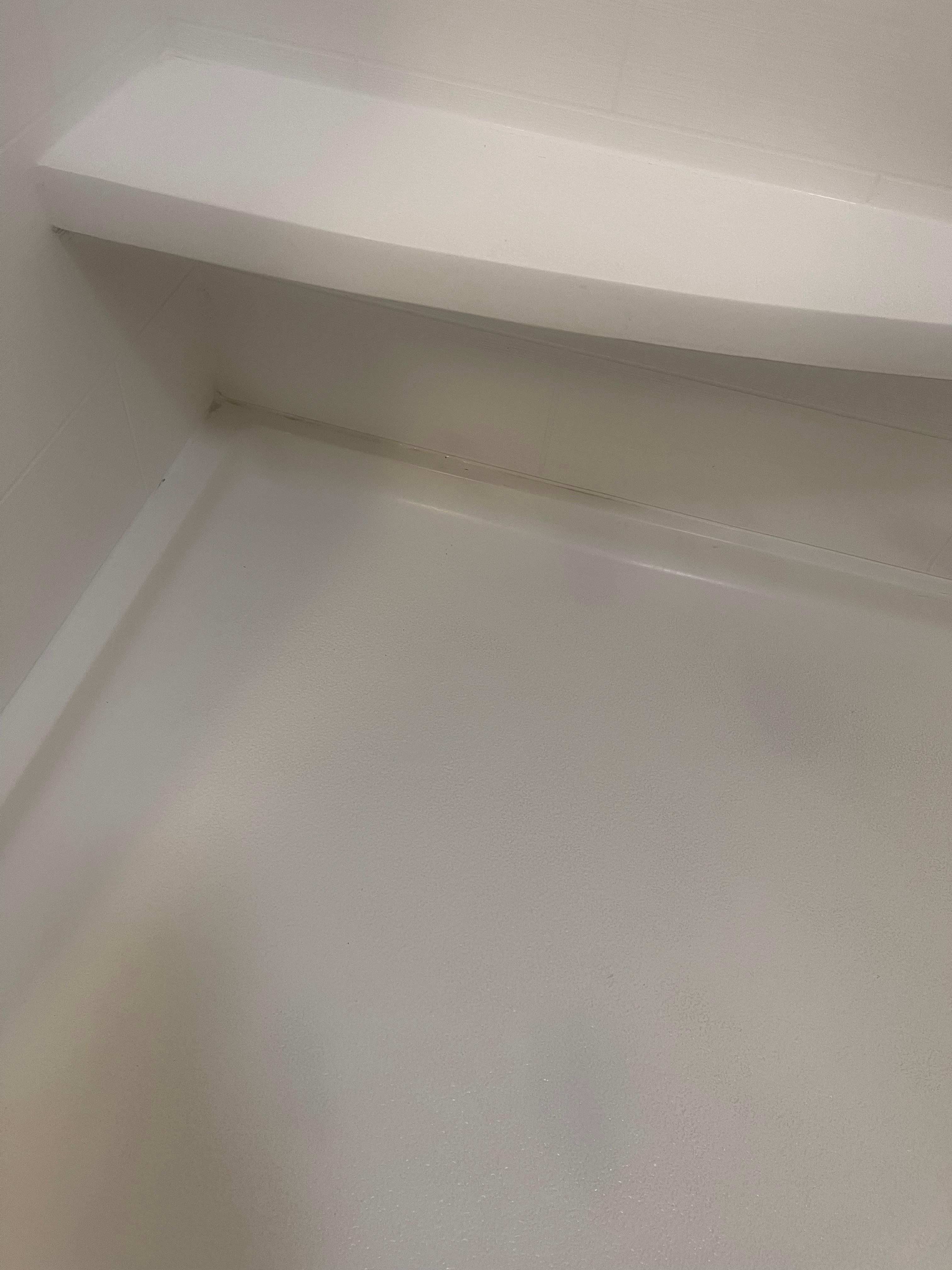 Black mold